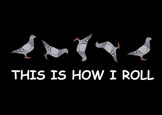 Pigeon Lover Gift Kids
