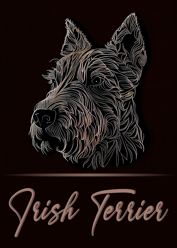 Elegant Irish Terrier