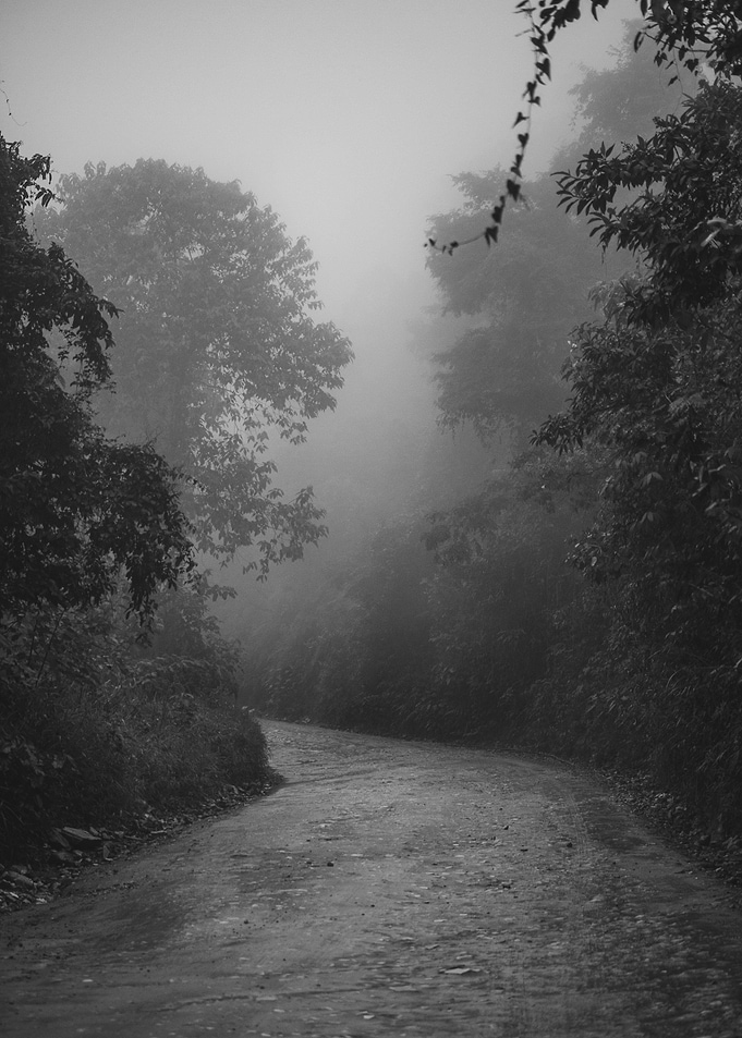 Misty Roads