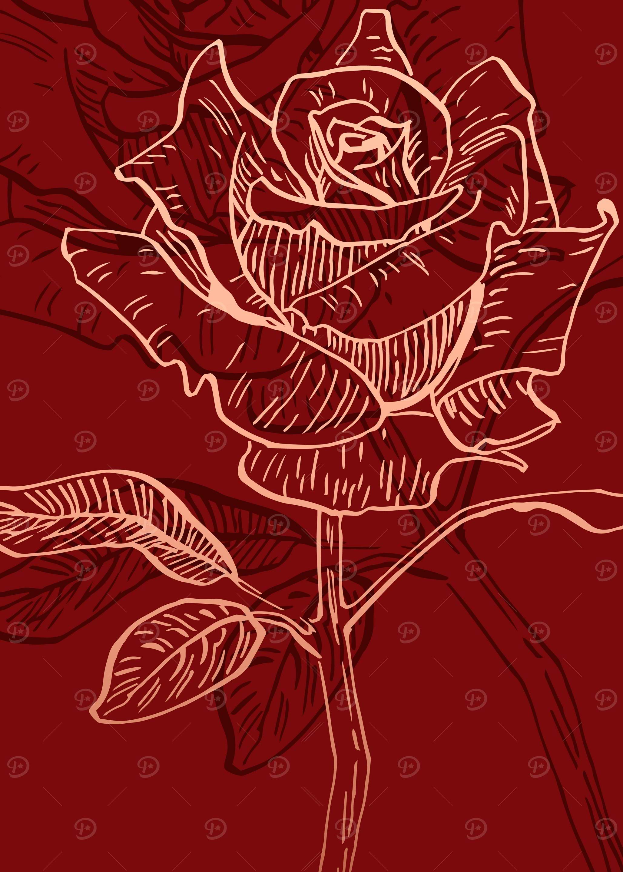 Rose Abstract