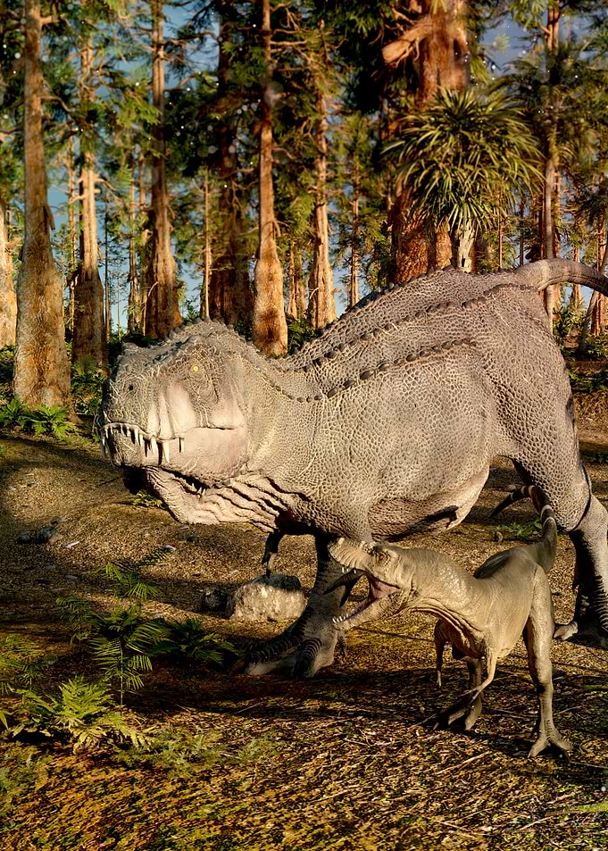 Tyrannosaurus Rex dinosaur