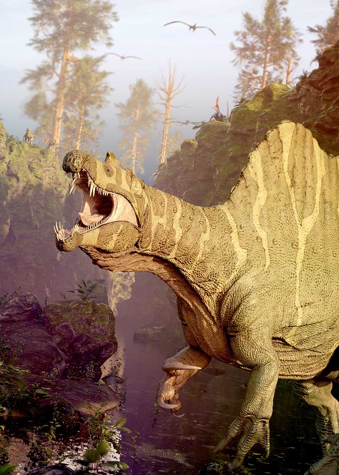 Spinosaurus dinosaur
