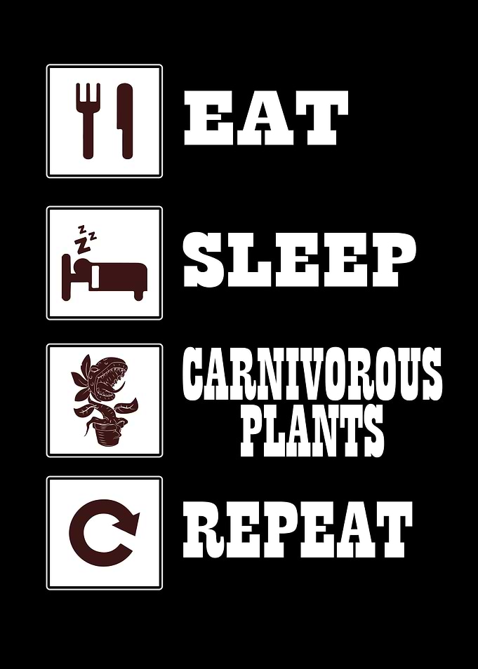 Carnivorous Plants Gift