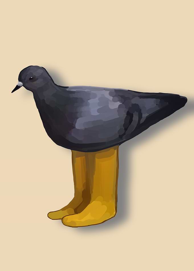 funny bird and the boot