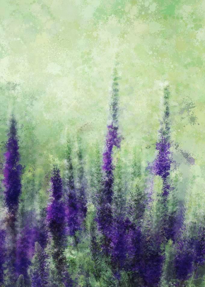 Purple Fields