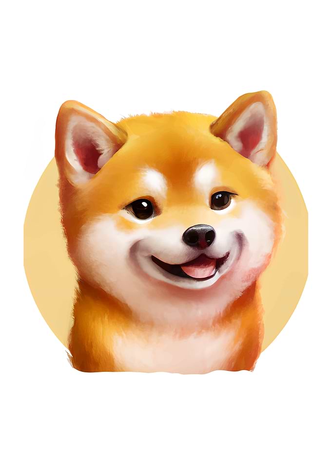 Funny Shiba Inu Dog