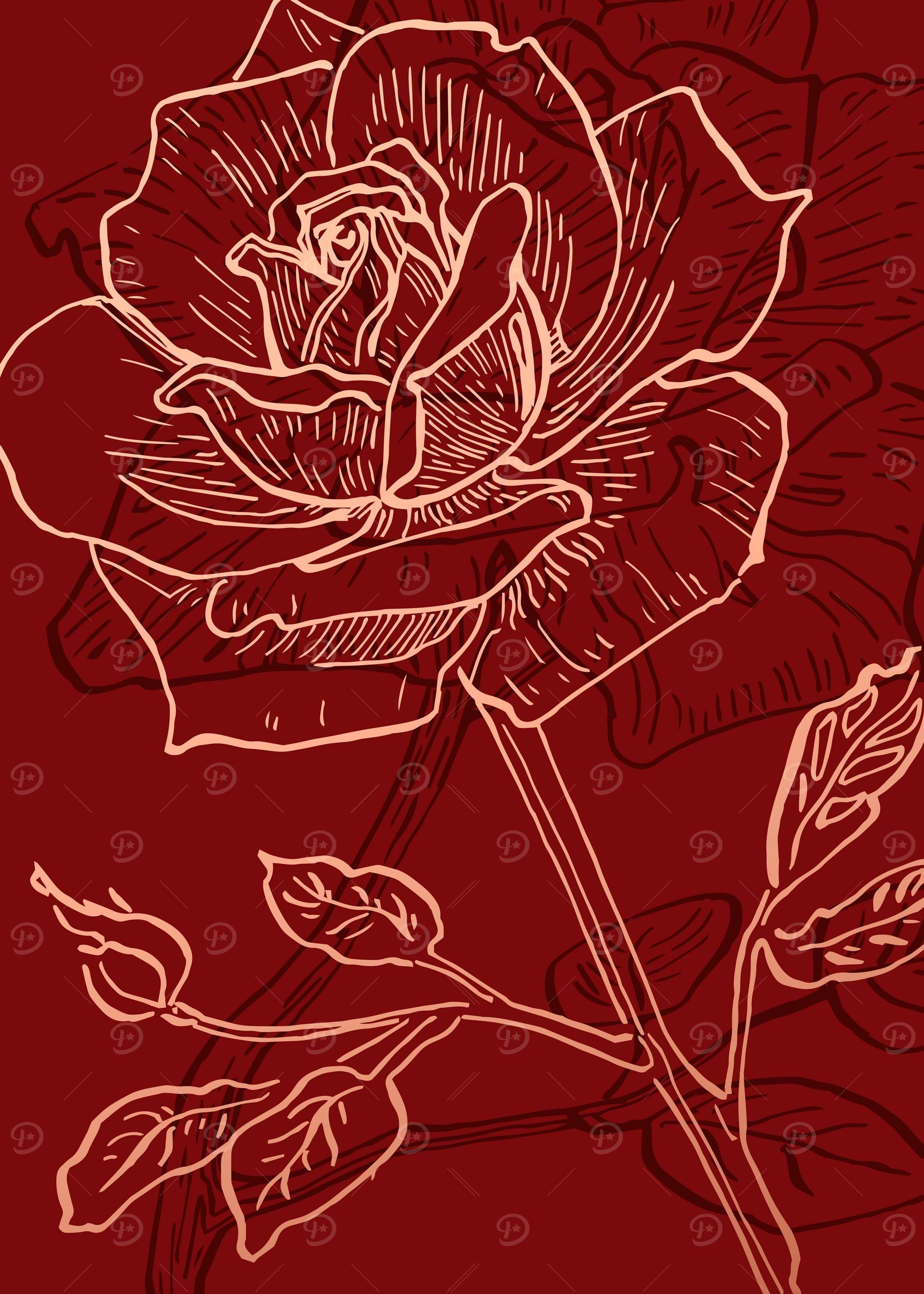 Rose Abstract