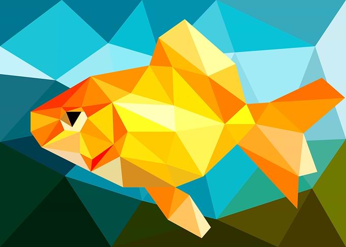 Goldfish