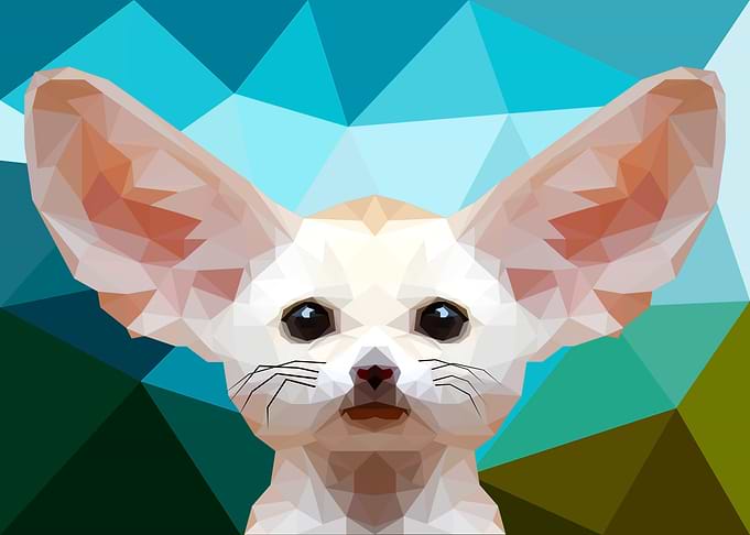 Fennec