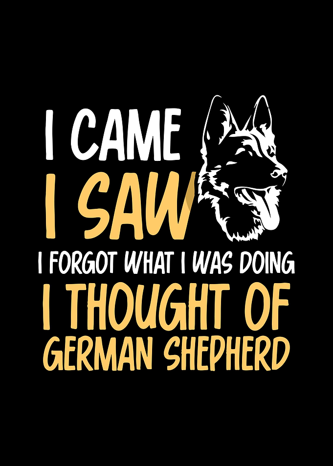 German Shepherd