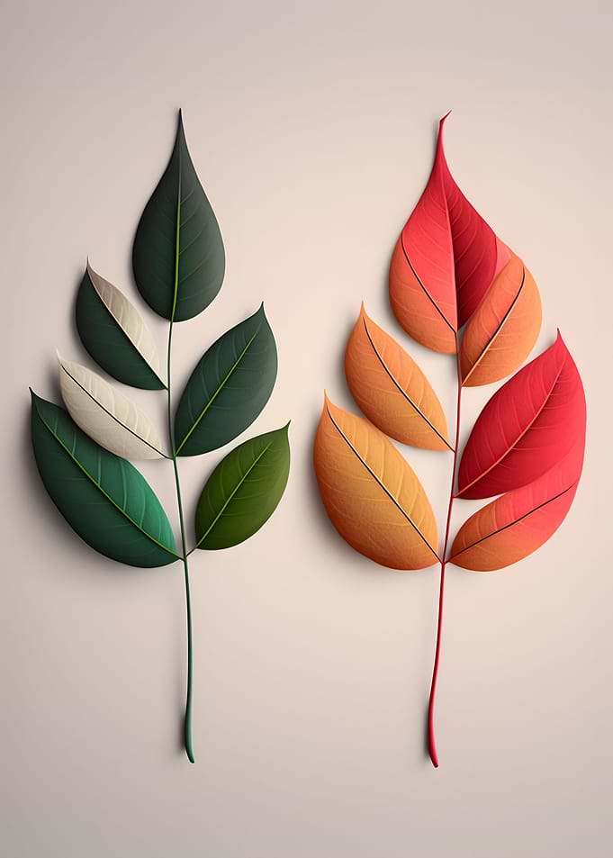 Leaves