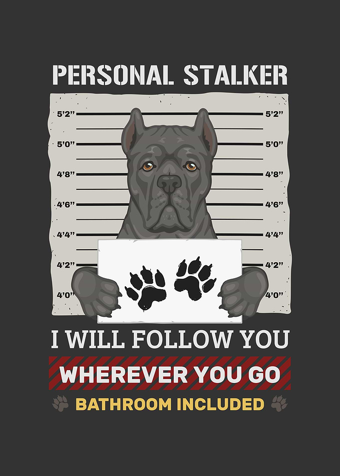 Stalker Cane Corso