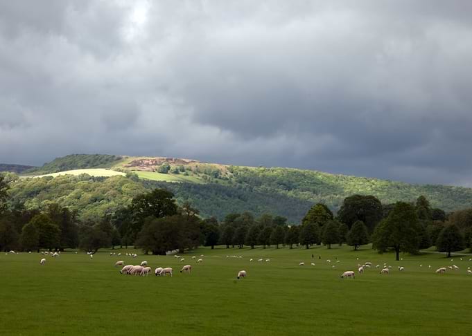 Landscape in England