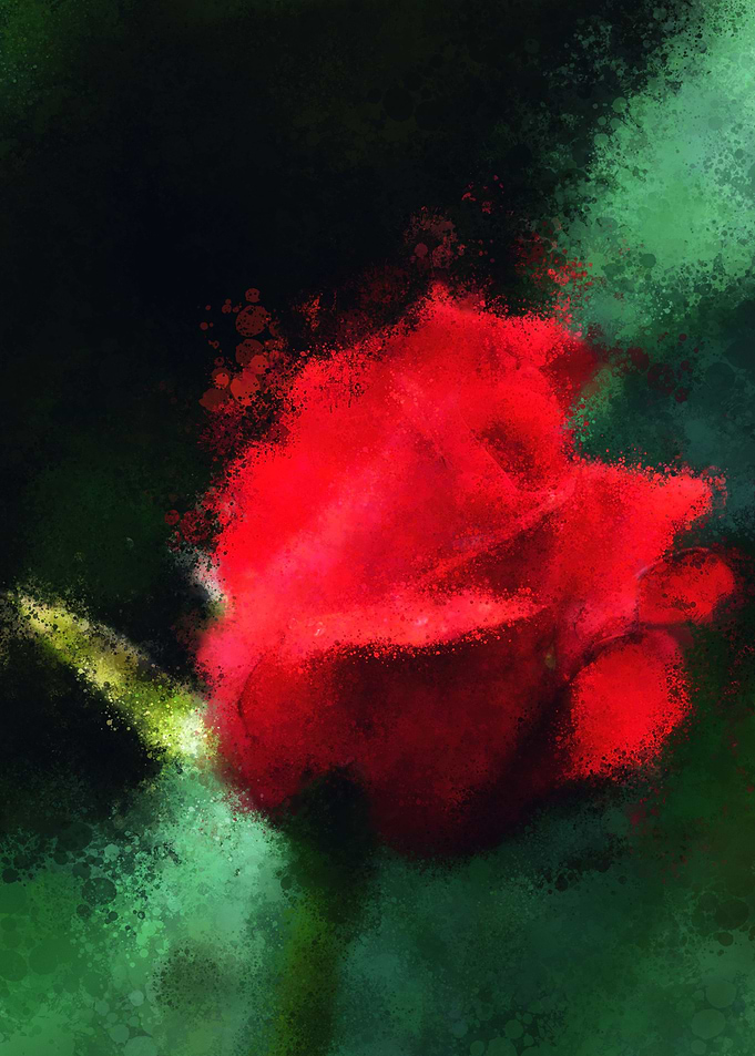 Rose of Passion