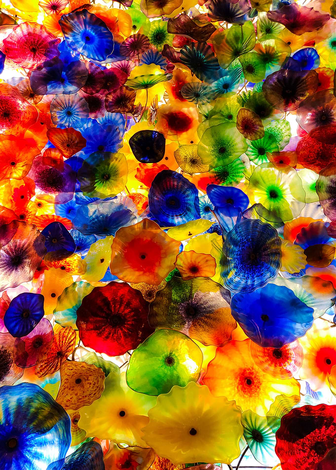 Glass Flower Patch