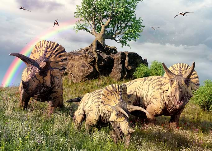 Triceratops dinosaur