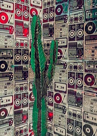 Analog DJ Cactus Party