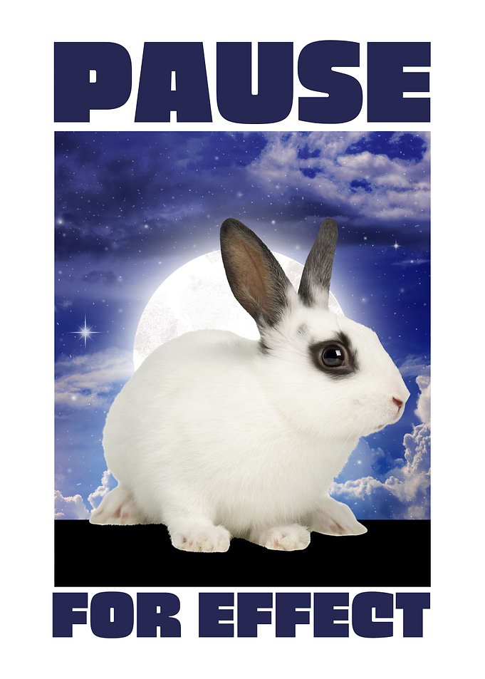 rabbit Pause for effect