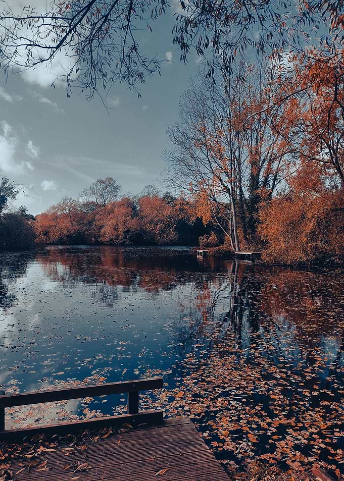 Fall fishing lake