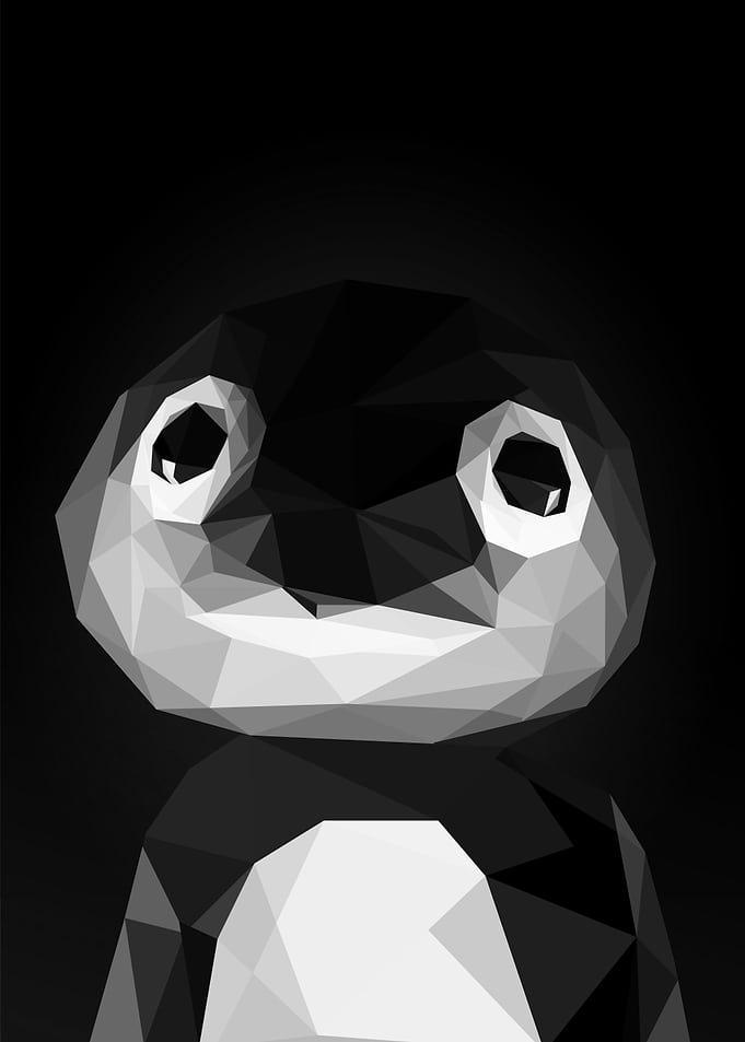 noot noot pingu