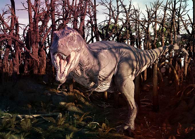 Trex Tyrannosaurus Rex