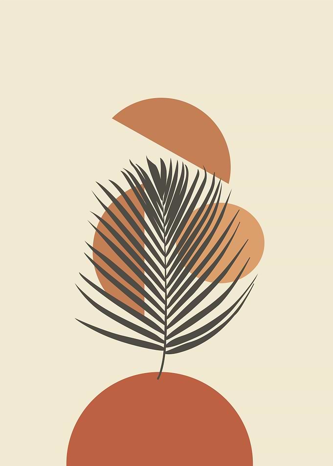 palm leaf and abstract