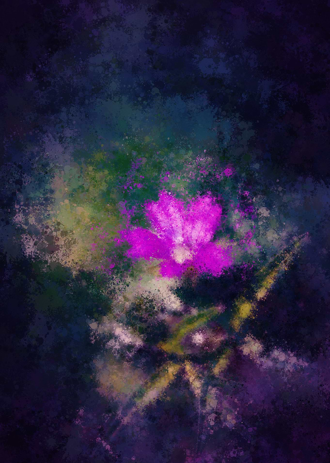 Cutleaf in the Darkness