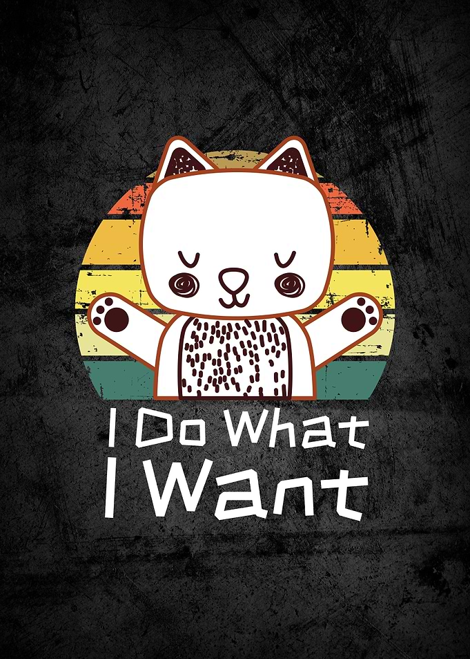 I Do What I Want Funny Cat