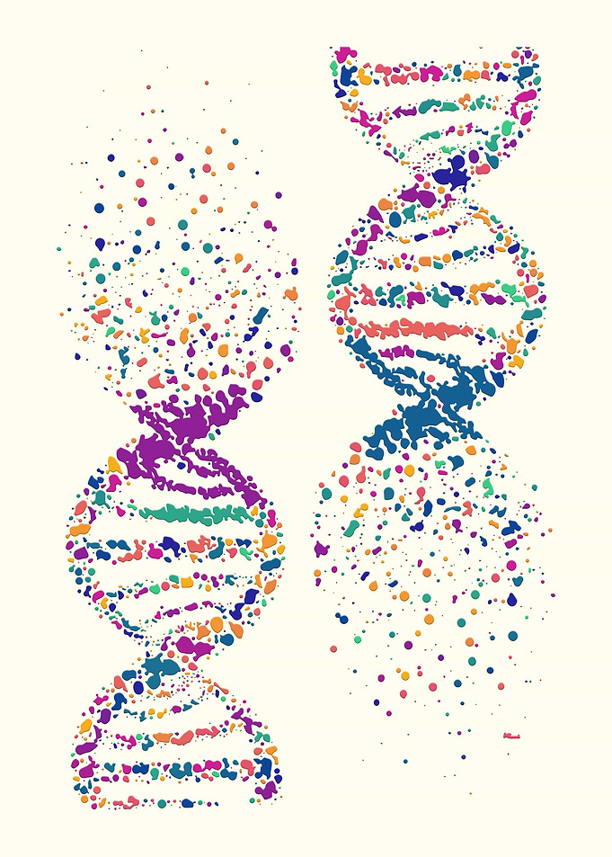 DNA molecule