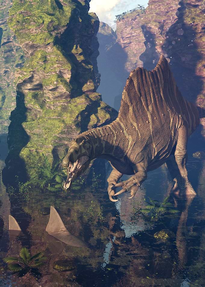 Spinosaurus dinosaur