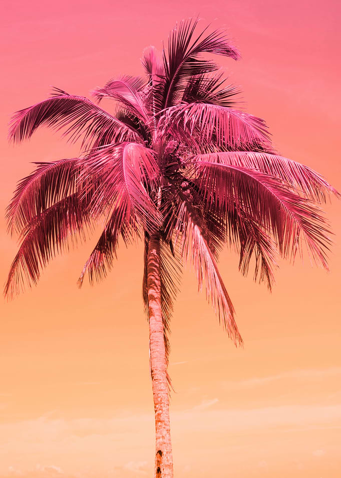 Palm Tree Beach Dream 1