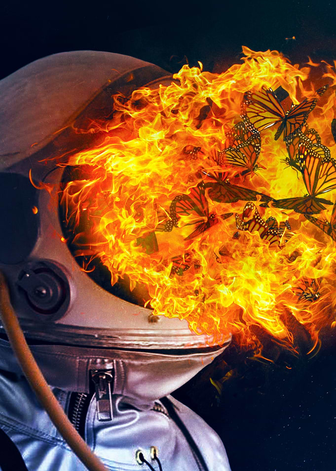 Fire and Flight