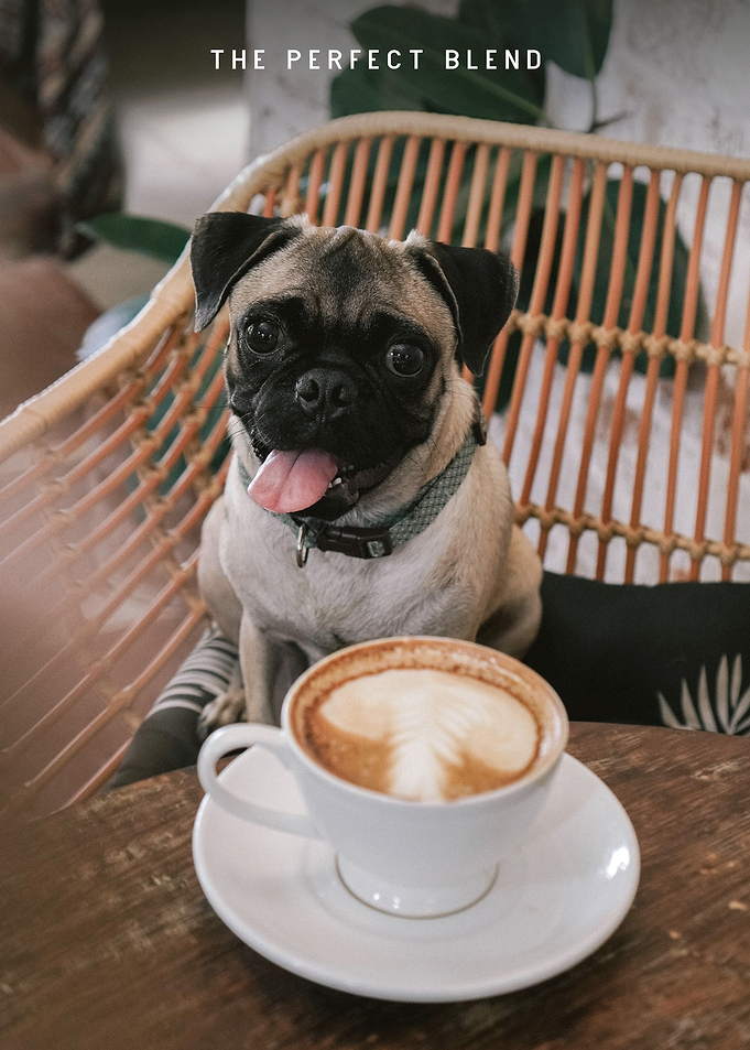 Morning Coffee