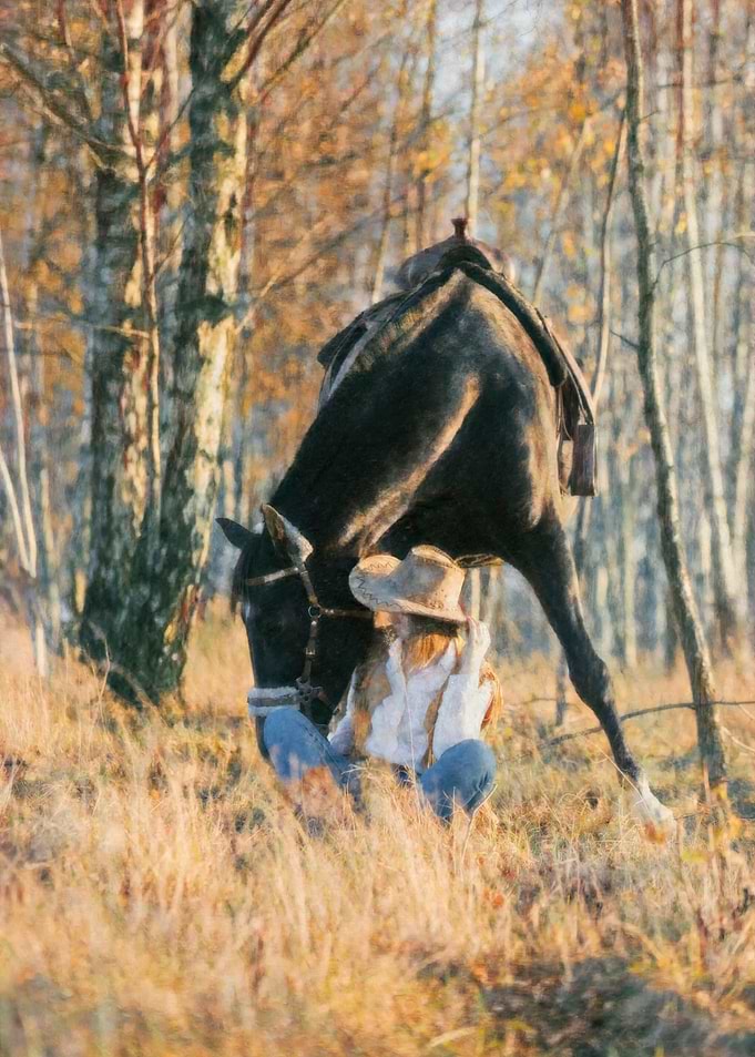 Horse, girl, autumn,forest
