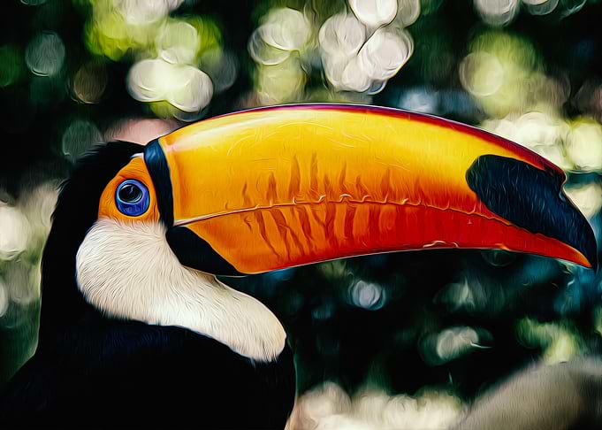 Hornbill