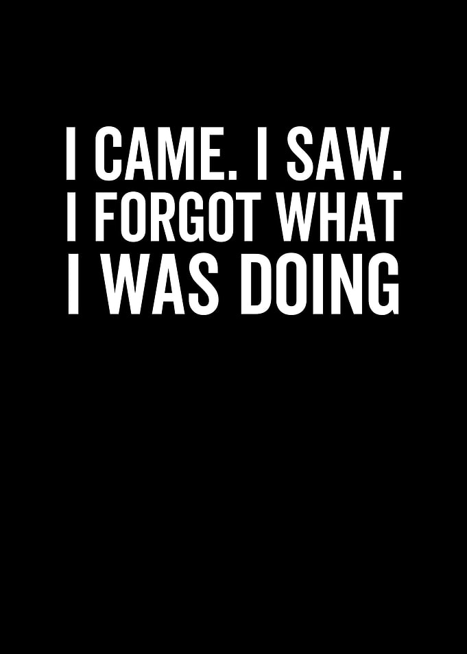 I Came I Saw I Forgot What