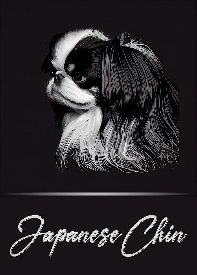 Japanese Chin