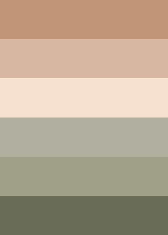 Chocolate Color Palette
