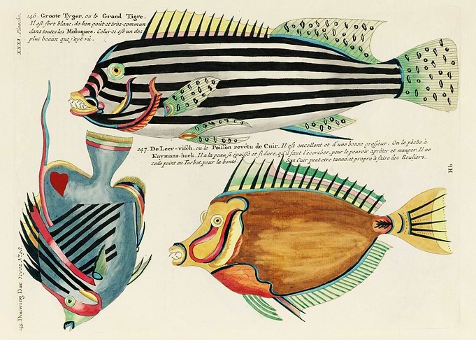 Colorful Fishes