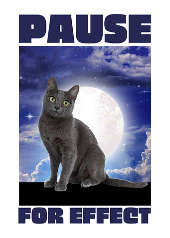 Cat Pause for effect
