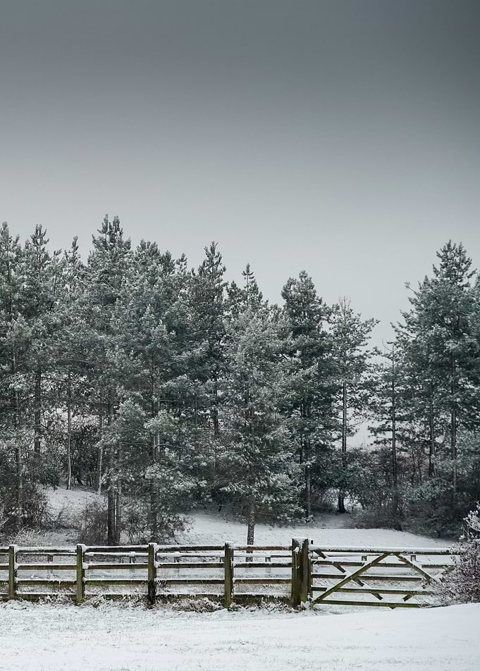 Winter Landscape
