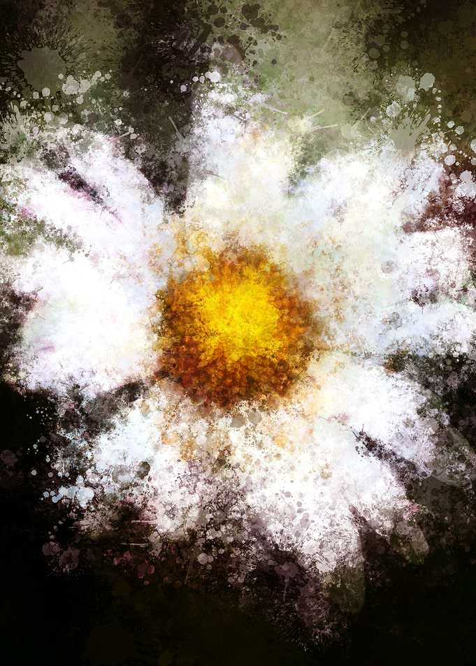 Daisy on beige
