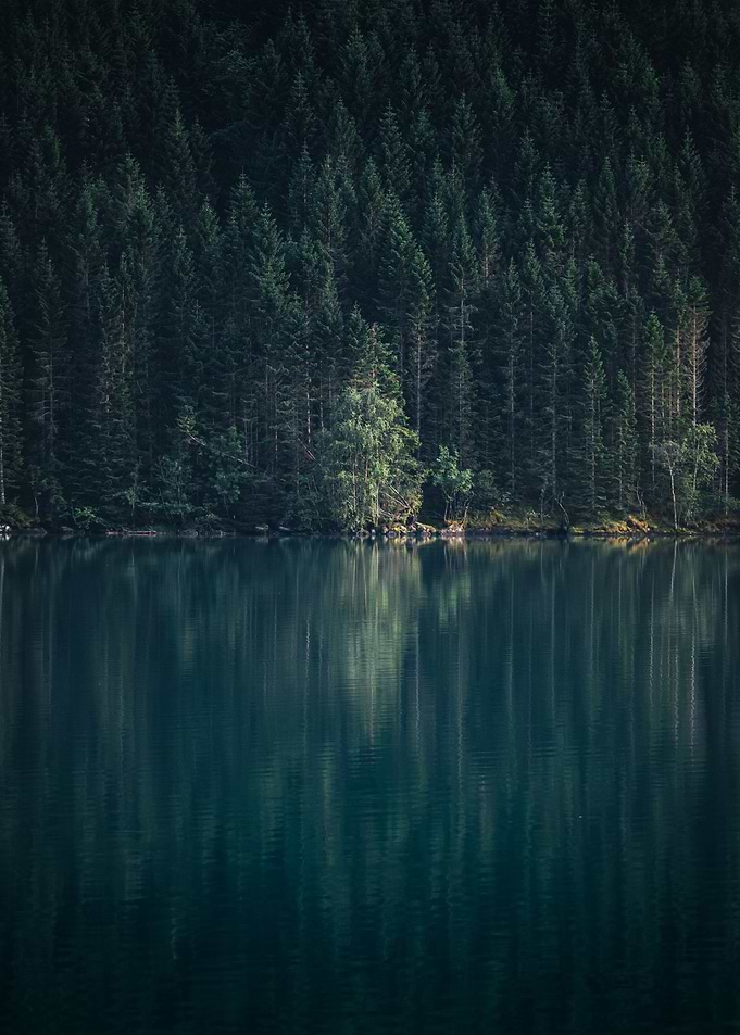 Scenery