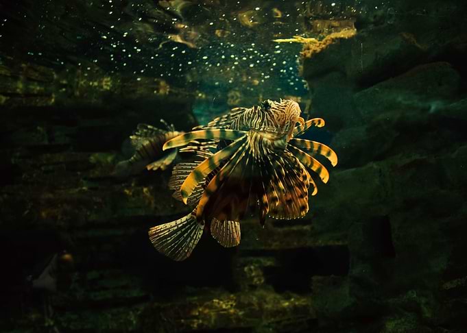 Under Water