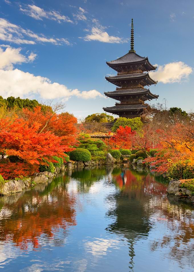 Kyoto autumn leaves