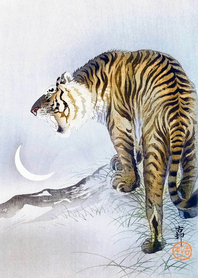 Roaring Tiger
