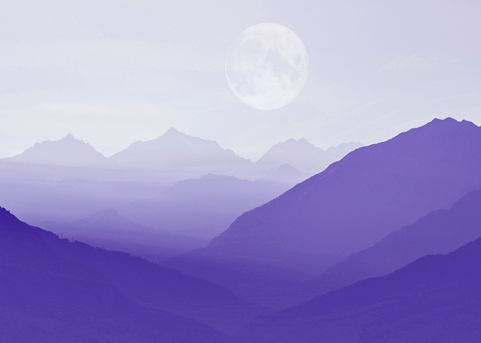 Foggy landscape