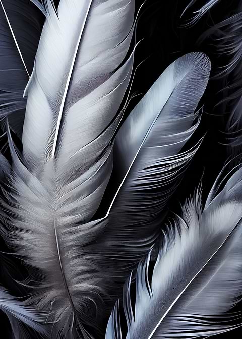 Feathers — metal poster wall art