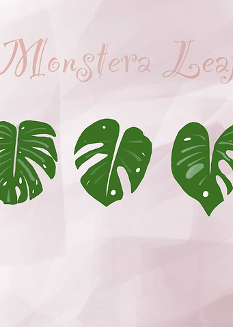Monstera leaf