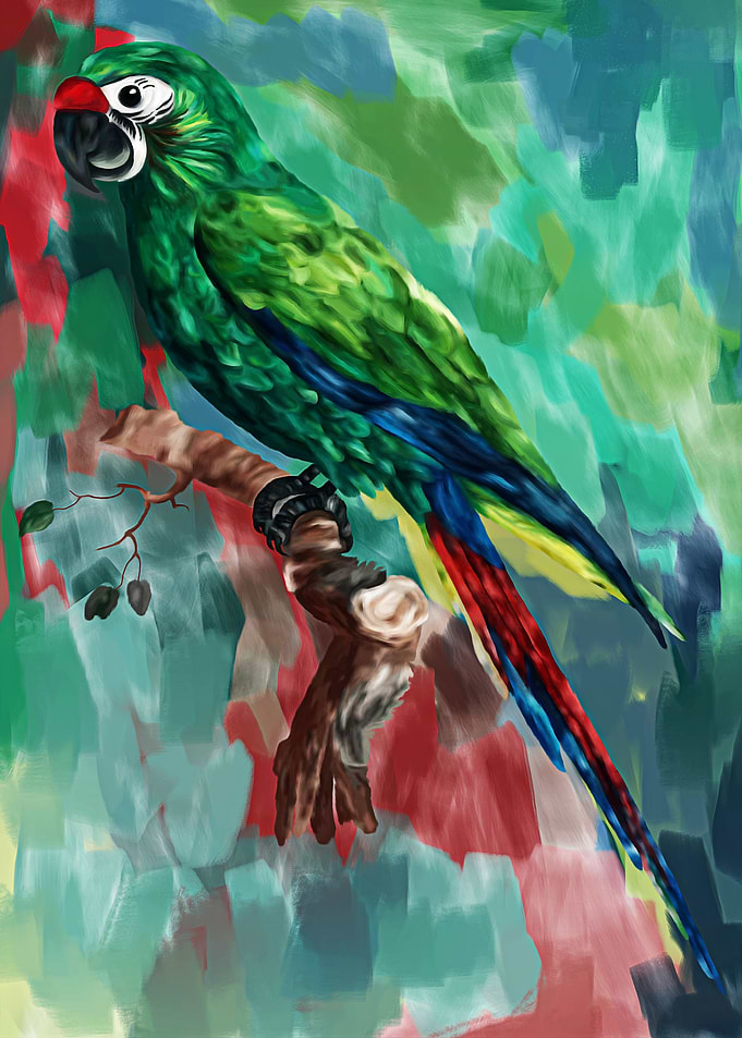 Green Parrots Paintings